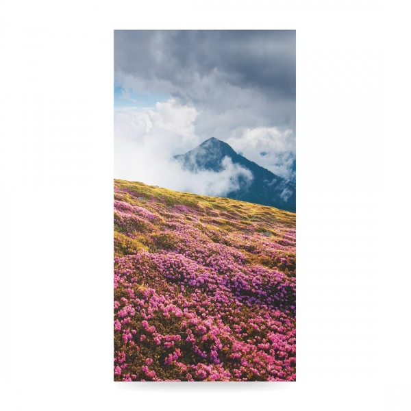Zasłona - Różanecznik alpejski